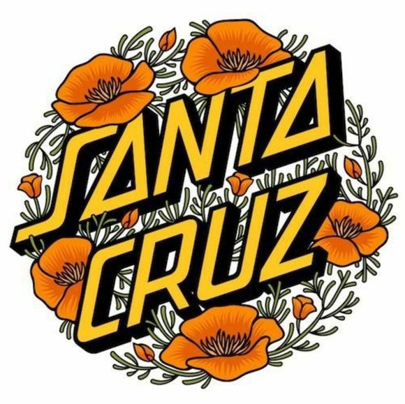 Meet your Posher, Shannon - Picture 2 of 2